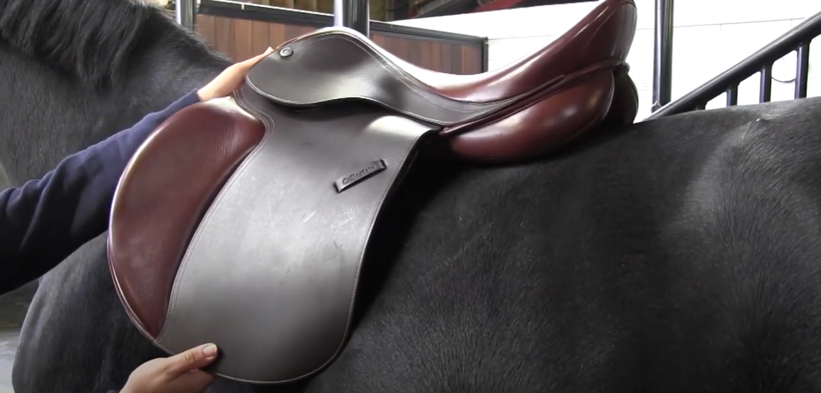 best english saddles for quarter horses