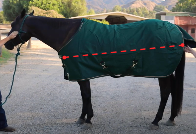 how to measure for a fly sheet