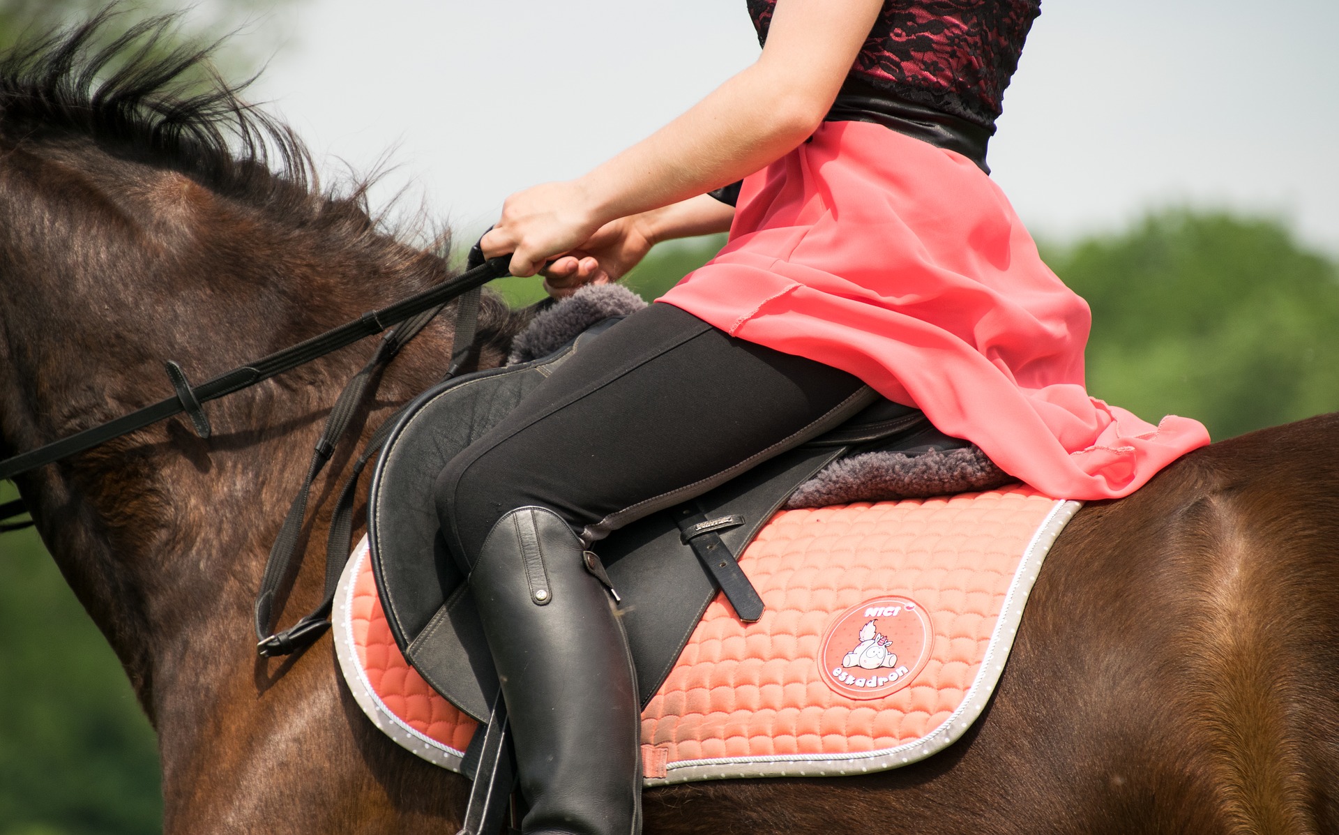 best saddle pads