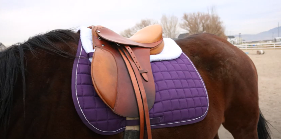 comfortable saddle pad