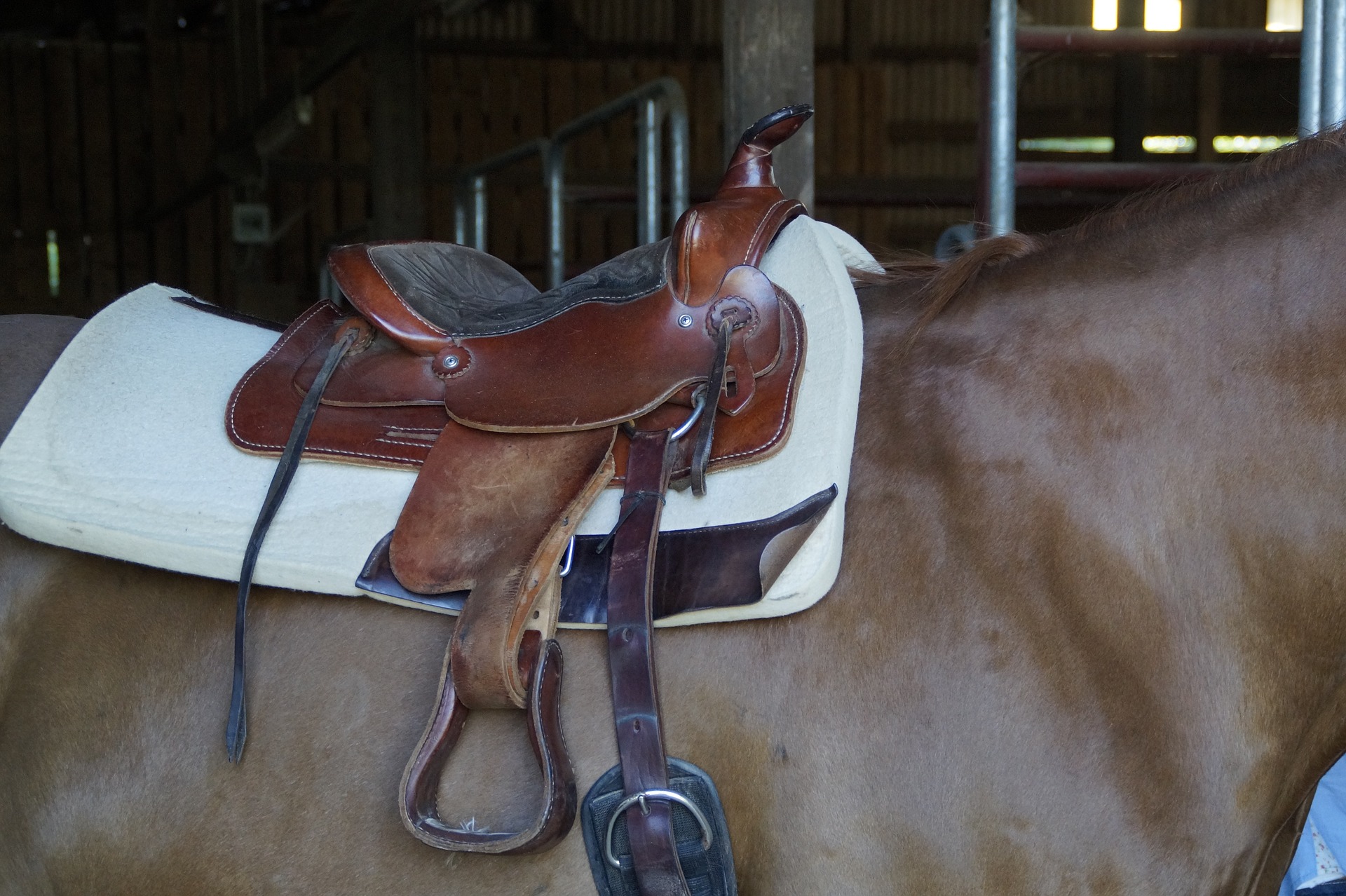 types of western saddles