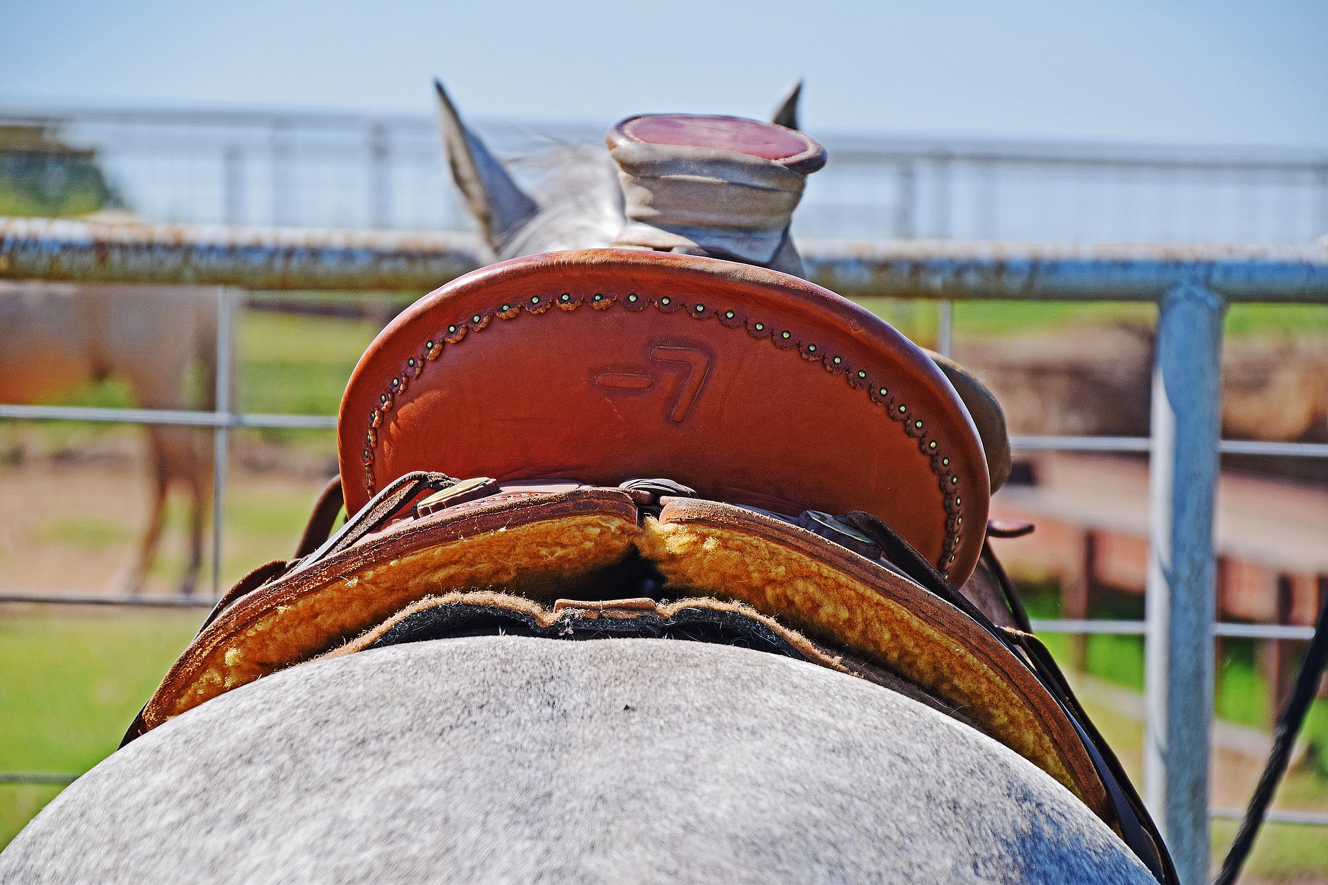 western saddle sizing