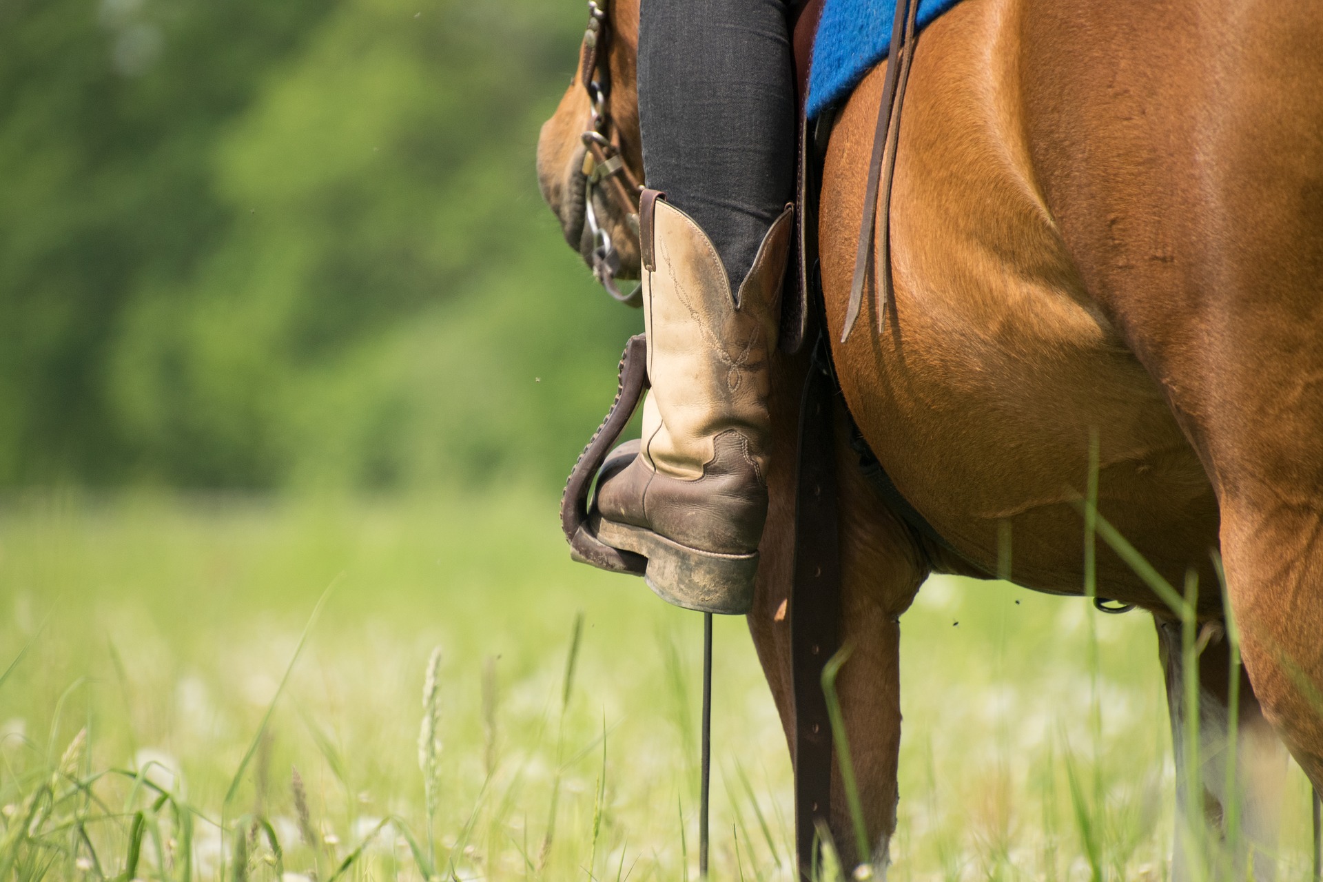 best boots for western horseback riding