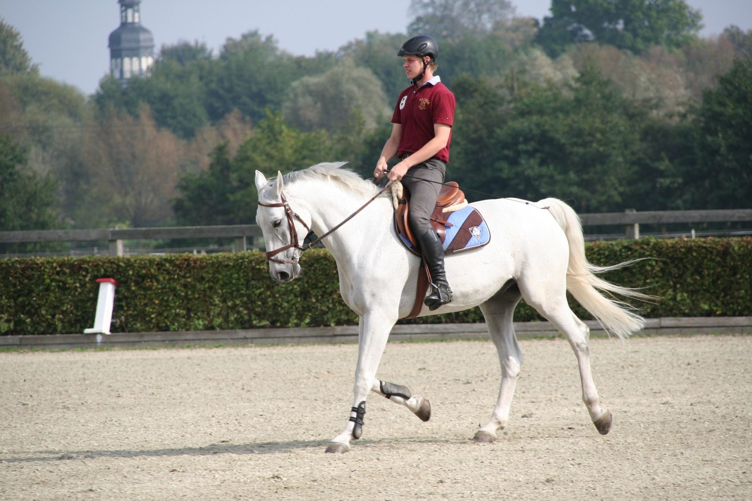 The 5 Best Dressage Saddles For You And Your Horse Equineigh