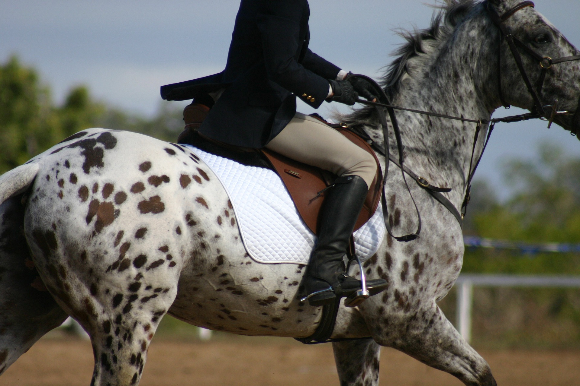how to choose dressage boots