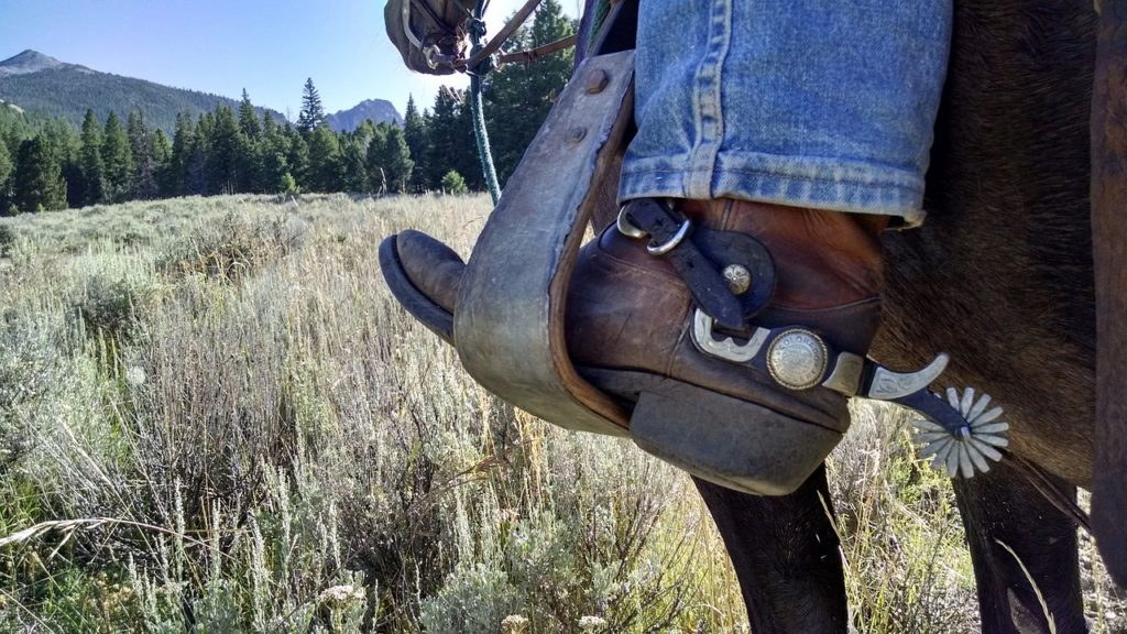 The 5 Best Boots For Western Horseback Riding Equineigh