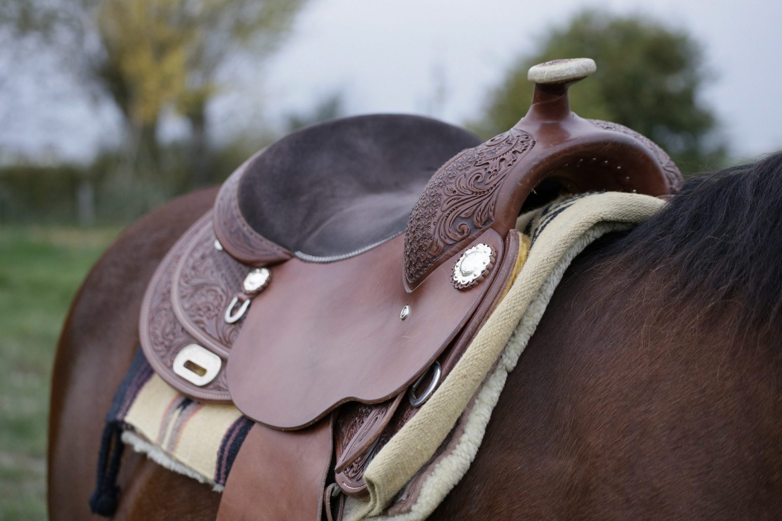 saddle prices