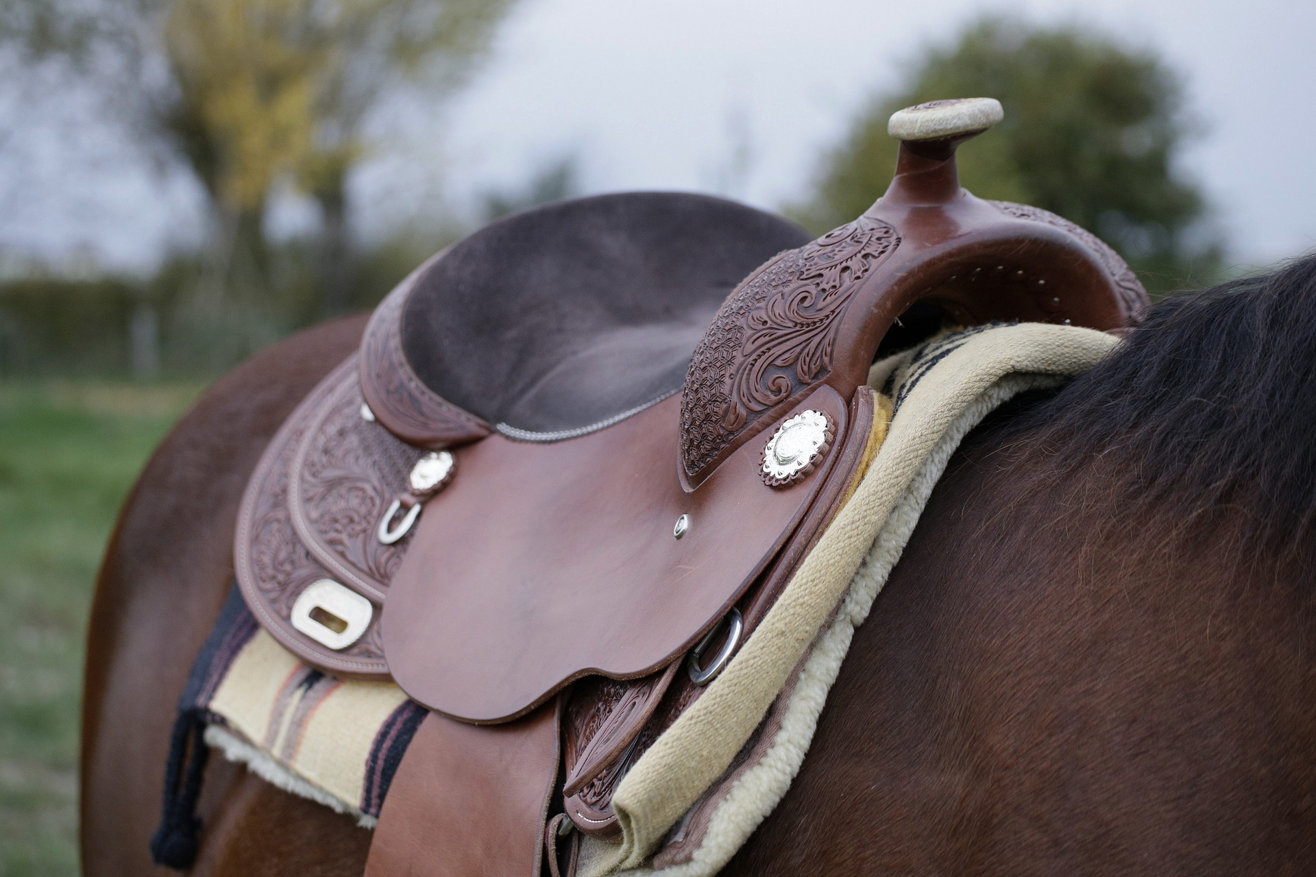 best horse saddles