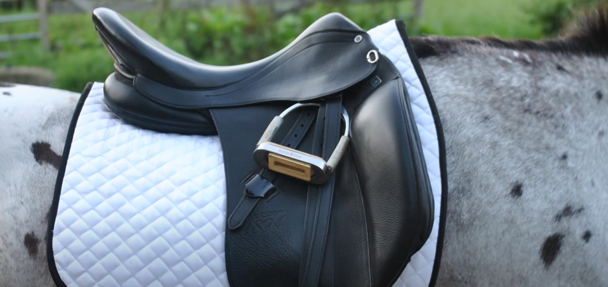 best dressage saddle pads