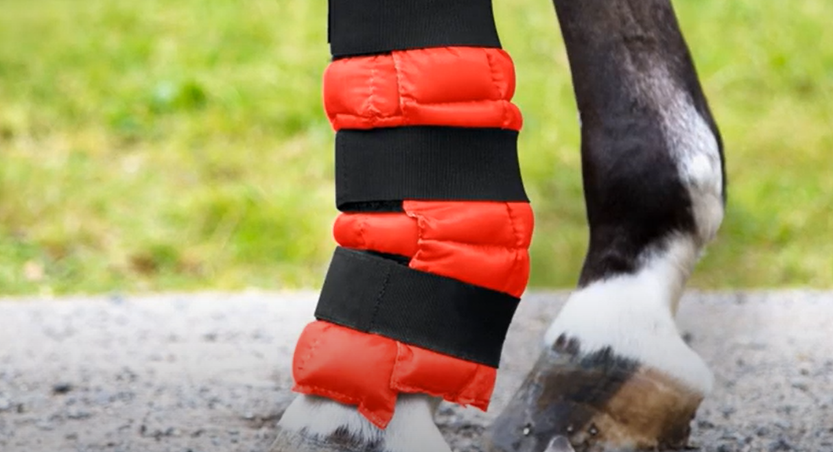 best horse ice boots