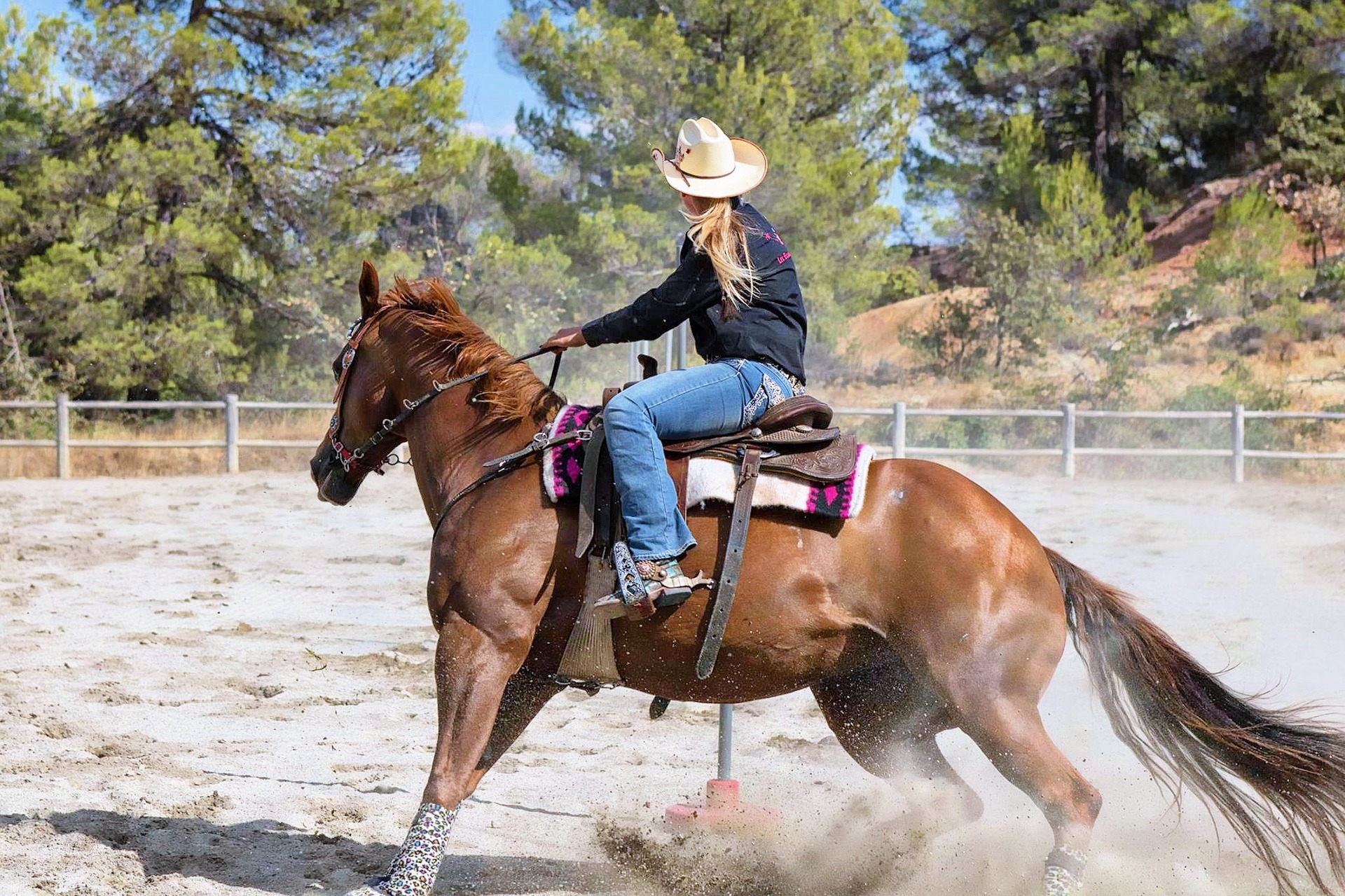 best horse riding jeans