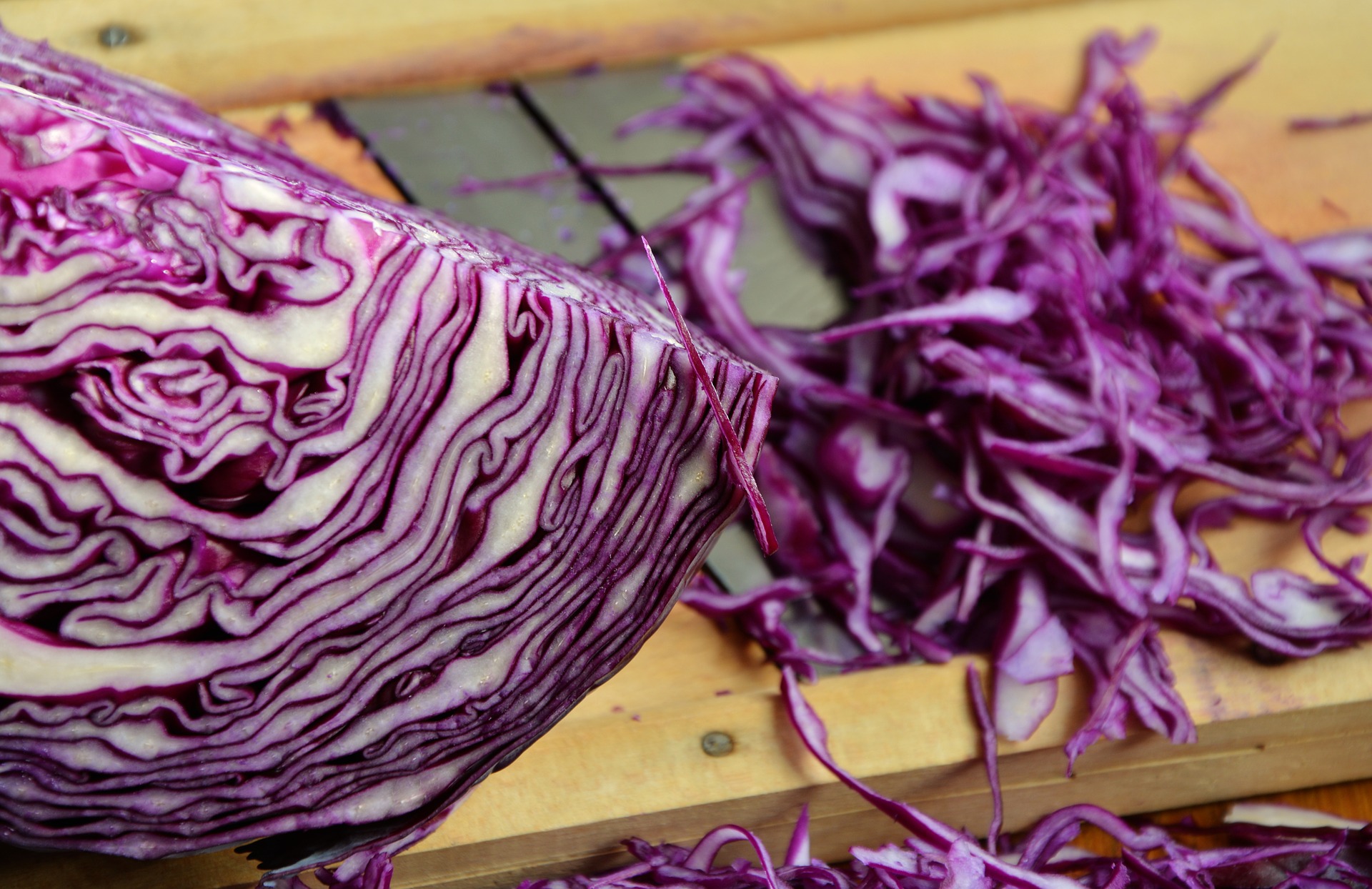 chopped up cabbage for horses