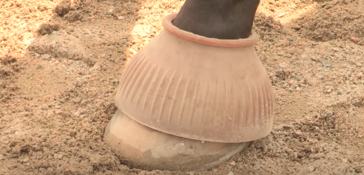 pull on bell boots for horses