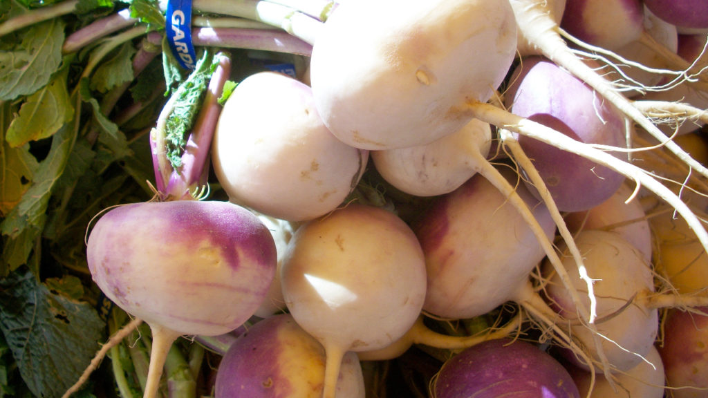 Can Horses Eat Turnips? The Crunchy Root Vegetable Equineigh