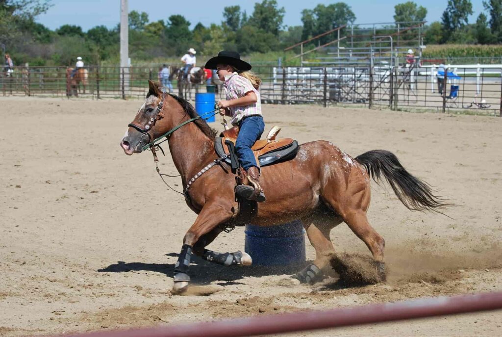 10 Best Barrel Racing Horse Breeds (Quick & Agile) Equineigh