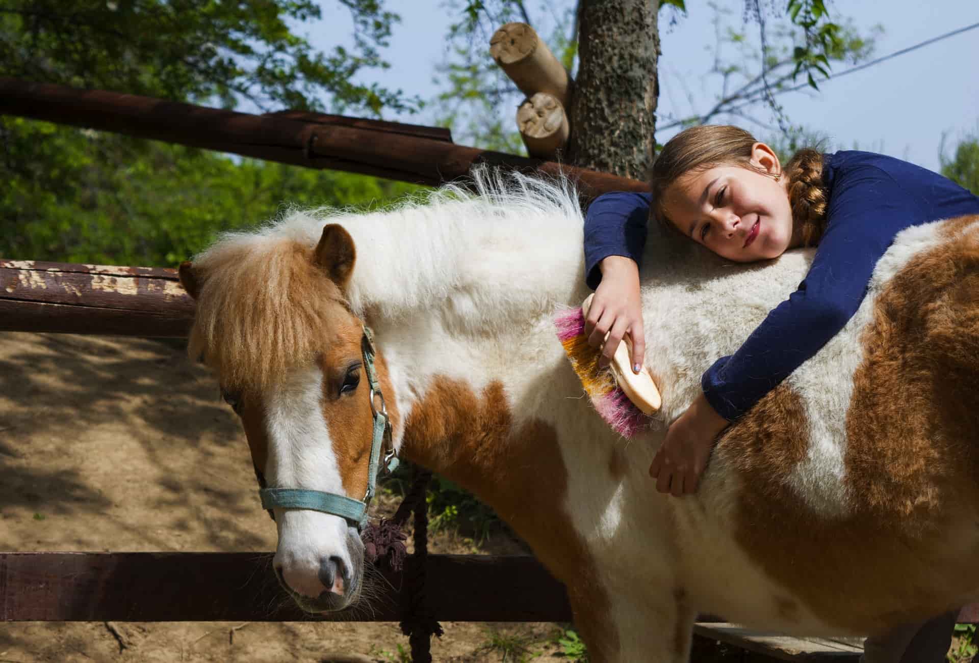 best horse magazines for kids